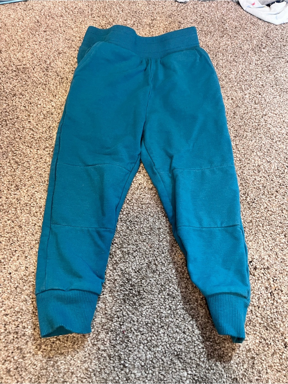 Little Sleepies Teal Jogger Pants for Kids